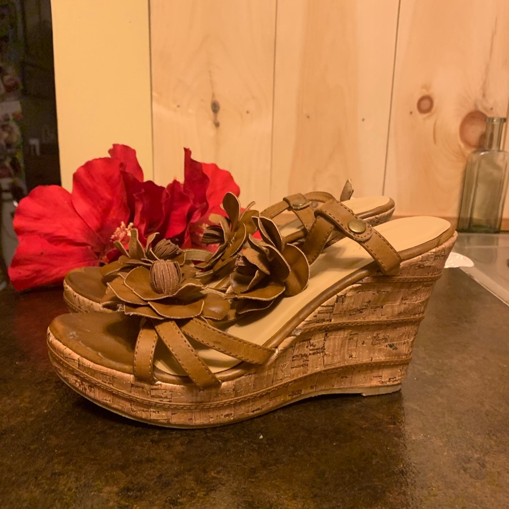 🌈 Wanted Platforms